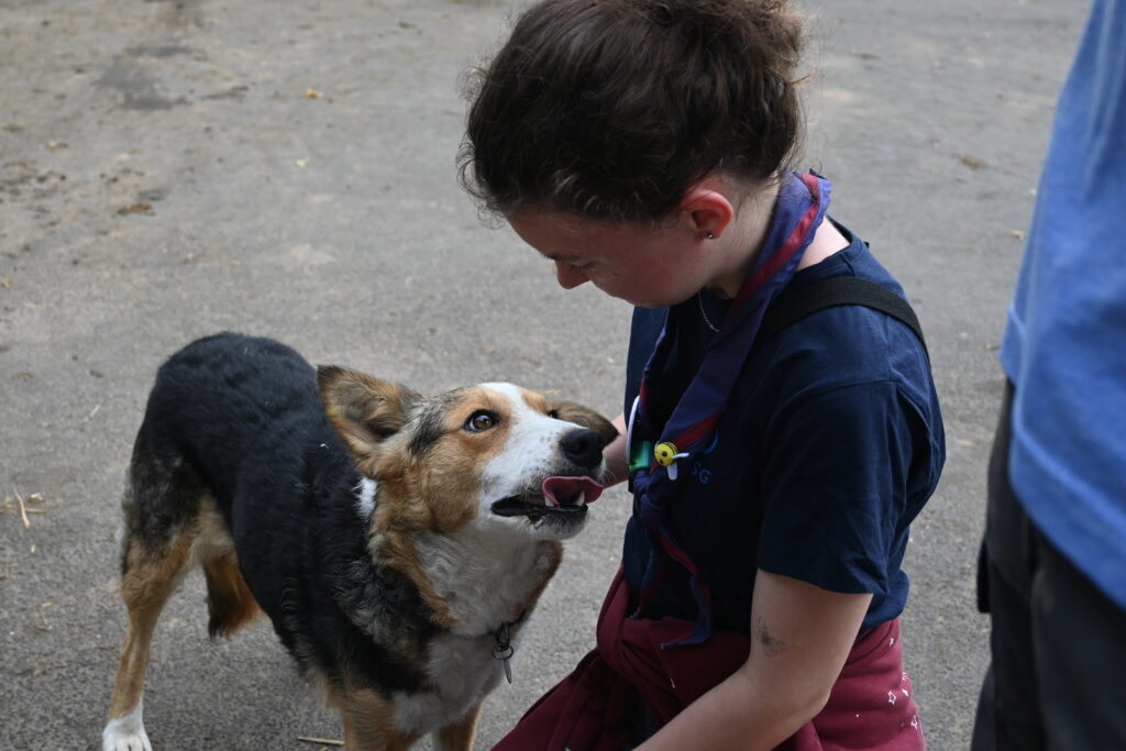 Ein Hund wird von einer Leitung gekrault.